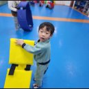 용인대성서태권도 이미지