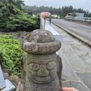 성이시돌요양원 | [국내/제주] 제주 6월-7월 수국 스팟 추천 | 무료관람 | 수국 개화시기