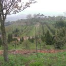 운곡농장 이미지