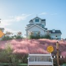 오즈의목장 이미지