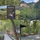 불암산 순환산책로 이미지