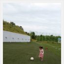 김태영축구장 이미지