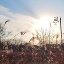 철새공원 화장실 이미지