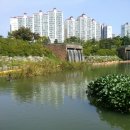 장자호수공원 장미원 이미지