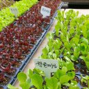 권선농약사 이미지