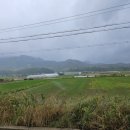 복실농장 이미지