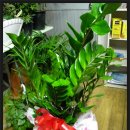 두산동아(아) 이미지