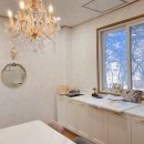 준플라워 이미지