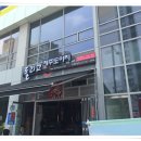 돌리고제주도야지 이미지