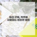 든든한척추 네이버블로그