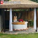 십일월오일 이미지