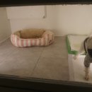 아지야 놀자 이미지