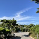 메르벨르B 이미지