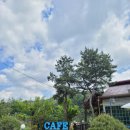 피오레 단양 이미지