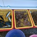 묵호시장 이미지