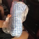 갈담초등학교 | 에버랜드 후기 / 에버랜드 꿀팁 정리 𖤐 / 에버랜드 썸머워터&amp;밤밤클럽 후기 /에버랜드 가기 전 필독
