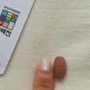 멀틴 | 모먼튼 흡수율 좋은 리포좀멀티비타민 솔직후기