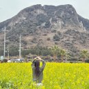 전기차충전소_제주도 교육청 | 제주도 렌트카 추천 제주패스 제주공항 렌트카 제주 전기차 렌트 충전소