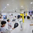 용인대 안산 타이거즈 태권도장 이미지