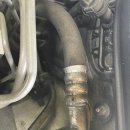 킴 모터스 이미지