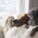 오월호텔(OWALL HOTEL) 이미지