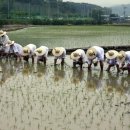 소만농장 이미지