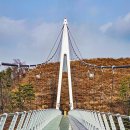 철원 한탄강 송대소, 은하수교 전경(강원도 철원군) 이미지