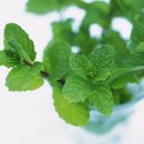 자연에너지 이미지