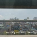 세교동사무소 앞 이미지