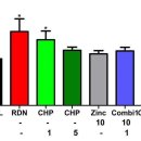 디에이파마 이미지