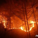 김삿갓면-43 이미지