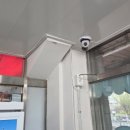 아이스꽁냥