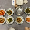 큰나무집궁중약백숙 | [구미] 금오산 등산 후 몸보신하기 좋은 백숙 맛집 "큰나무집궁중약백숙 구미점" 내돈내산