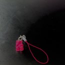 갈마애견 이미지