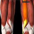 이두메디칼 이미지