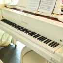 칠포파인비치호텔 이미지