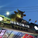 북문 상104호(비28호) | [마장동축산물시장] 포장도 되고 쌈장식당에서 먹어도 되는 맛난 정육점 추천 내돈내산 솔직후기