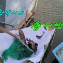 남창낚시터 이미지