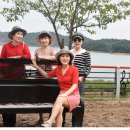 불갑저수지 수변공원 이미지