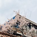 🌸4월3일 금요일 뚜벅출석부🚶🏻‍➡️🚶🏻‍♀️ 커피전달☕️ 이미지