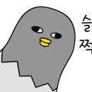솔가숯불갈비포항