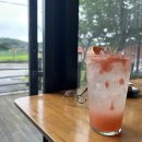 카페스윔(cafe swim)