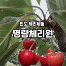 진도체리원