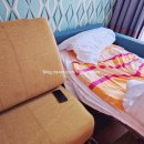 가족여행엔 최적인 니스숙소(The Jay Hotel by HappyCulture,니스호텔,니스가성비숙소,니스여행,니스...