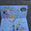 다팡 | [대만 여행] 타이베이 시립 동물원 타이베이101 다팡 우육면 후기 - 귀여운 판다