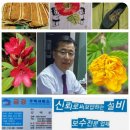 세븐일레븐 외동점 이미지
