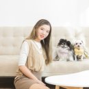유진회센타 이미지