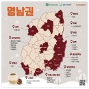 스타벅스대구만촌DT점 네이버블로그