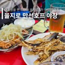 을지로 만선호프 야장 한여름의 낭만이 가득한 노가리 맛집 최신 가격과 분위기, 꿀팁