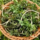 퐁당마켓 이미지